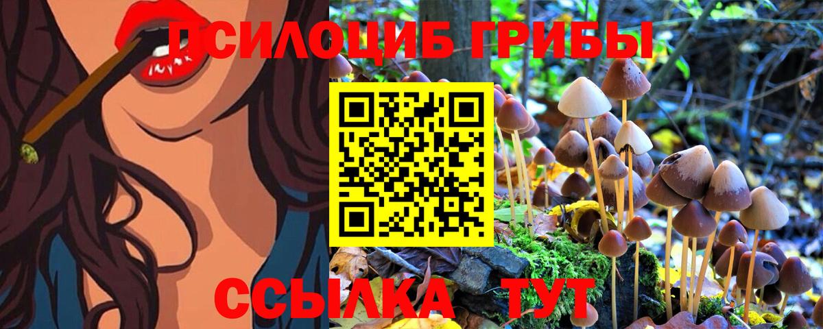 Мценск  Галлюциногенные грибы Magic Shrooms  Вход с VPN 
