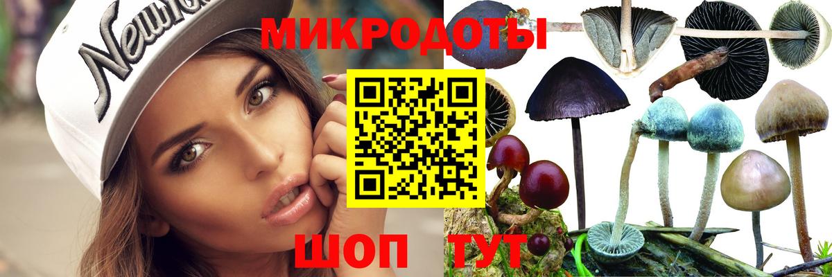 Псилоцибиновые грибы мухоморы Мценск